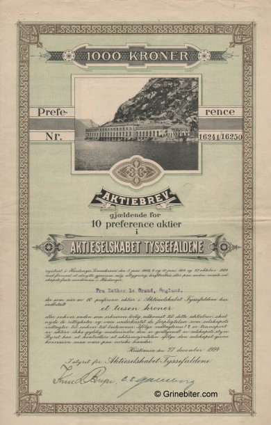Tyssefaldene aksjebrev old stock Certificate
