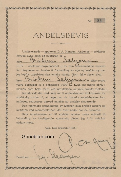 Apoteker D. A. Hanses, Andenes Aksjebrev 