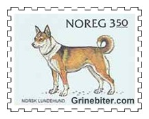 Norsk lundehund
