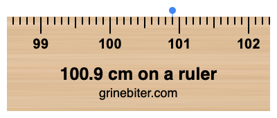 100.9 cm on a ruler Where is 100.9 centimeters on a ruler