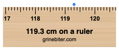 Where is 119.3 centimeters on a ruler