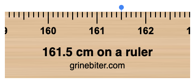 Where is 161.5 centimeters on a ruler