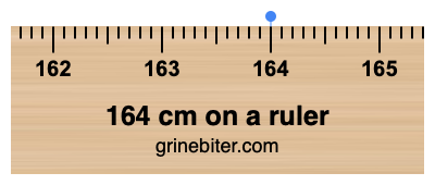 Where is 164 centimeters on a ruler