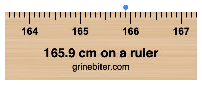 165.9 cm on a ruler Where is 165.9 centimeters on a ruler