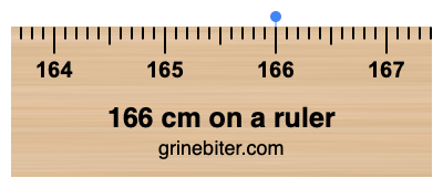 Where is 166 centimeters on a ruler