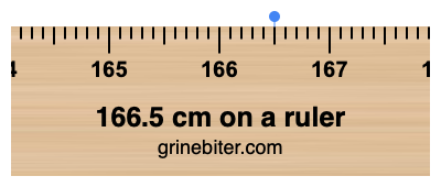 166.5 cm on a ruler Where is 166.5 centimeters on a ruler