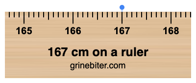 Where is 167 centimeters on a ruler