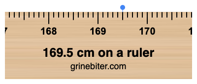 169.5 cm on a ruler Where is 169.5 centimeters on a ruler