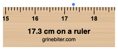 Manners Andre steder Trivial 17.3 cm on a ruler