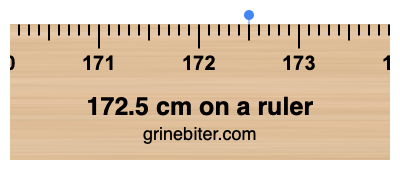 172.5 cm on a ruler Where is 172.5 centimeters on a ruler