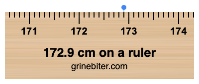 Where is 172.9 centimeters on a ruler