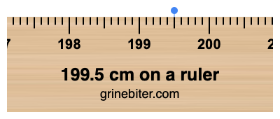 Where is 199.5 centimeters on a ruler