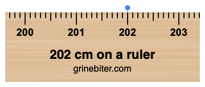 Where is 202 centimeters on a ruler