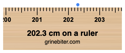 Where is 202.3 centimeters on a ruler