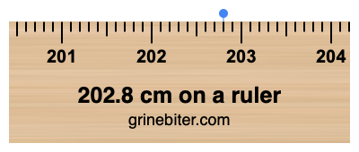 Where is 202.8 centimeters on a ruler