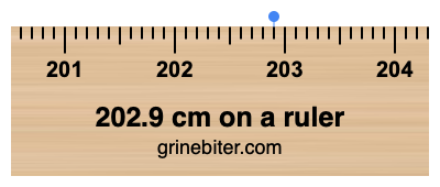 Where is 202.9 centimeters on a ruler