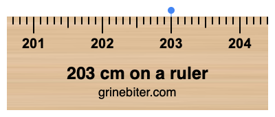 Where is 203 centimeters on a ruler