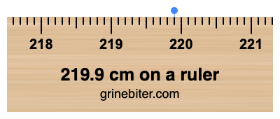 219.9 cm on a ruler Where is 219.9 centimeters on a ruler