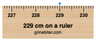 229 cm on a ruler Where is 229 centimeters on a ruler