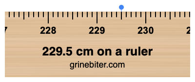 229.5 cm on a ruler Where is 229.5 centimeters on a ruler