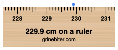 229.9 cm on a ruler Where is 229.9 centimeters on a ruler