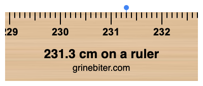 231.3 cm on a ruler Where is 231.3 centimeters on a ruler
