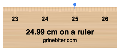 24.99 cm on a ruler Where is 24.99 centimeters on a ruler