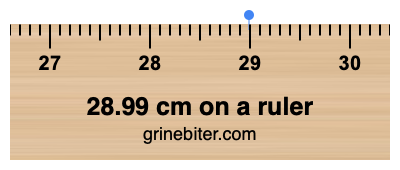 Where is 28.99 centimeters on a ruler