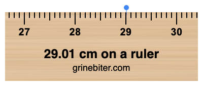 Where is 29.01 centimeters on a ruler