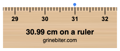 30.99 cm on a ruler Where is 30.99 centimeters on a ruler