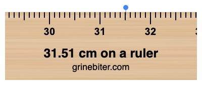 31.51 cm on a ruler Where is 31.51 centimeters on a ruler