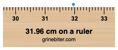 31.96 cm on a ruler Where is 31.96 centimeters on a ruler