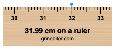 31.99 cm on a ruler Where is 31.99 centimeters on a ruler