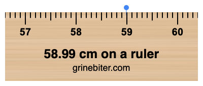 Where is 58.99 centimeters on a ruler