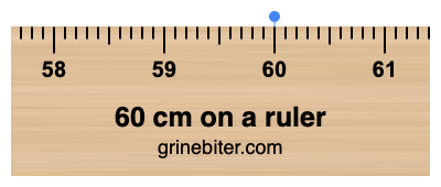 Where is 60 centimeters on a ruler