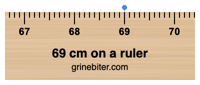 Where is 69 centimeters on a ruler