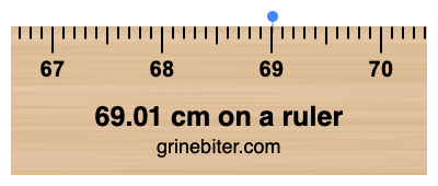 69.01 cm on a ruler Where is 69.01 centimeters on a ruler