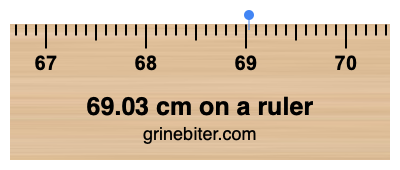 69.03 cm on a ruler Where is 69.03 centimeters on a ruler
