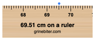 69.51 cm on a ruler Where is 69.51 centimeters on a ruler