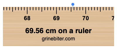 69.56 cm on a ruler Where is 69.56 centimeters on a ruler