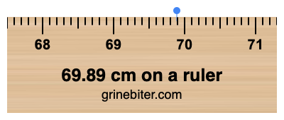 69.89 cm on a ruler Where is 69.89 centimeters on a ruler