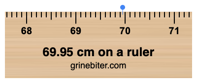 69.95 cm on a ruler Where is 69.95 centimeters on a ruler