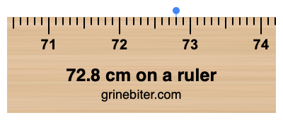 Where is 72.8 centimeters on a ruler