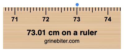 Where is 73.01 centimeters on a ruler