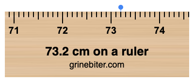 73.2 cm on a ruler Where is 73.2 centimeters on a ruler