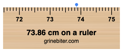 Where is 73.86 centimeters on a ruler