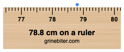 78.8 cm on a ruler Where is 78.8 centimeters on a ruler