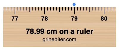 78.99 cm on a ruler Where is 78.99 centimeters on a ruler