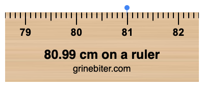 Where is 80.99 centimeters on a ruler