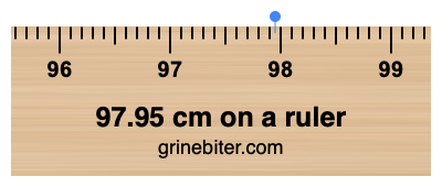 Where is 97.95 centimeters on a ruler